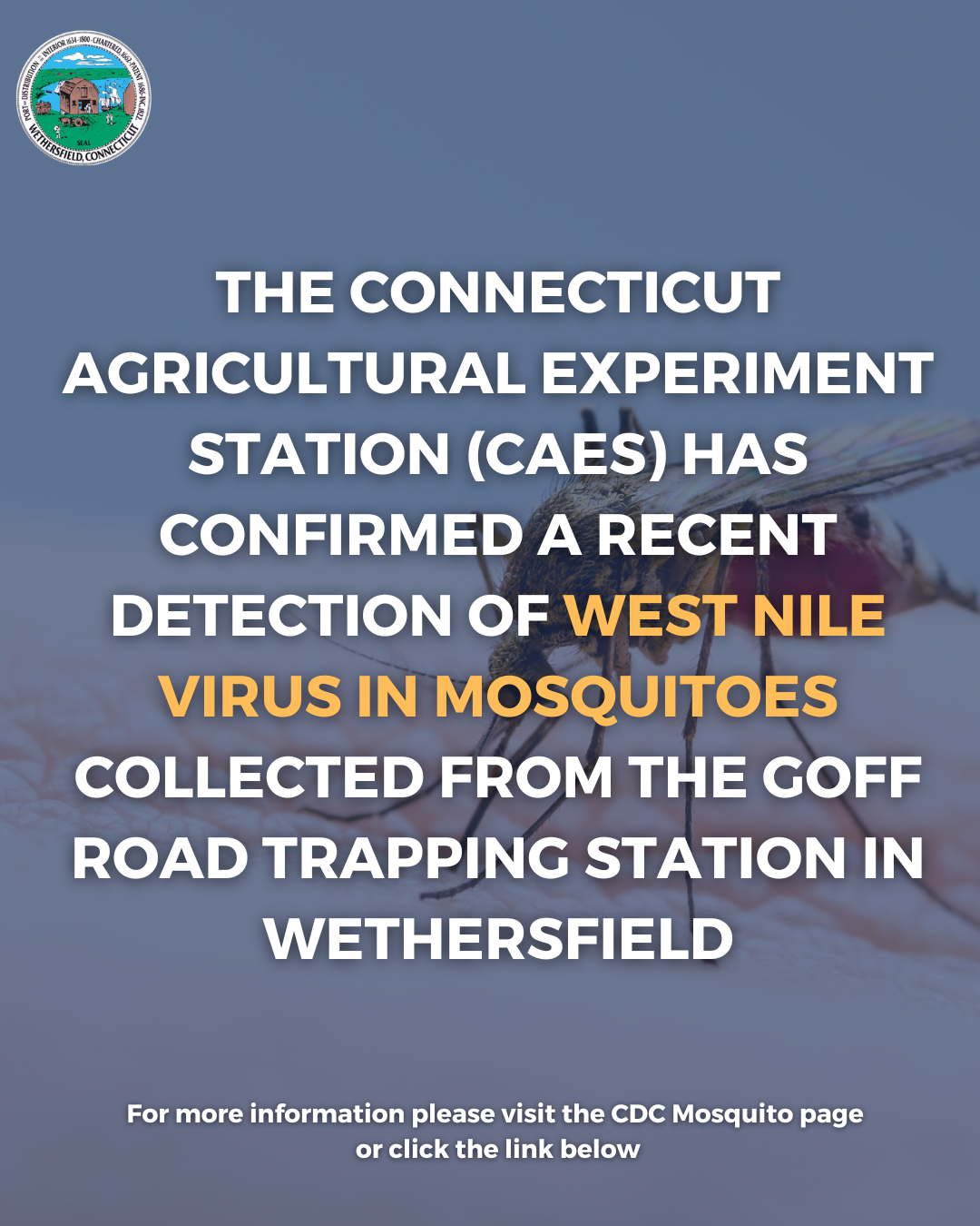 mosquito alert social media