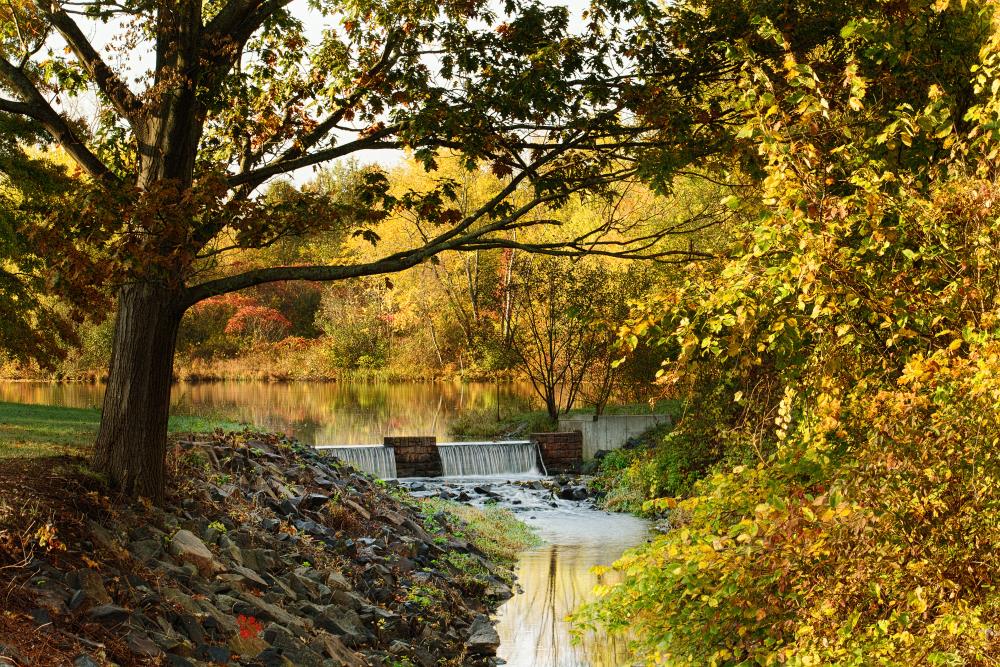 2015 Photo Contest 2nd Place - Osvaldo Ferrari