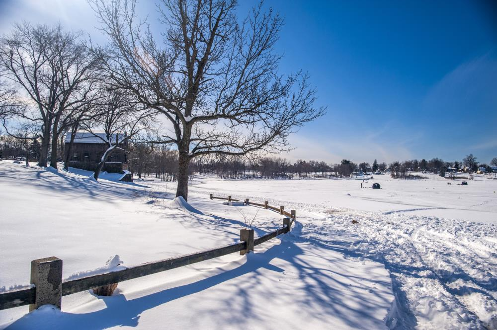 Snowy Cove Park