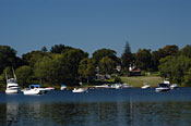 Summer at the Cove